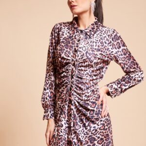 Women Leopard Printed Slim Fit Ruched Dress
